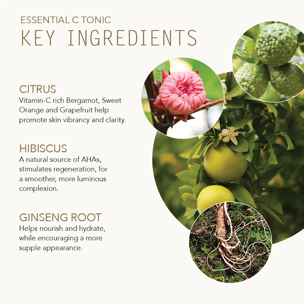 Essential C Tonic