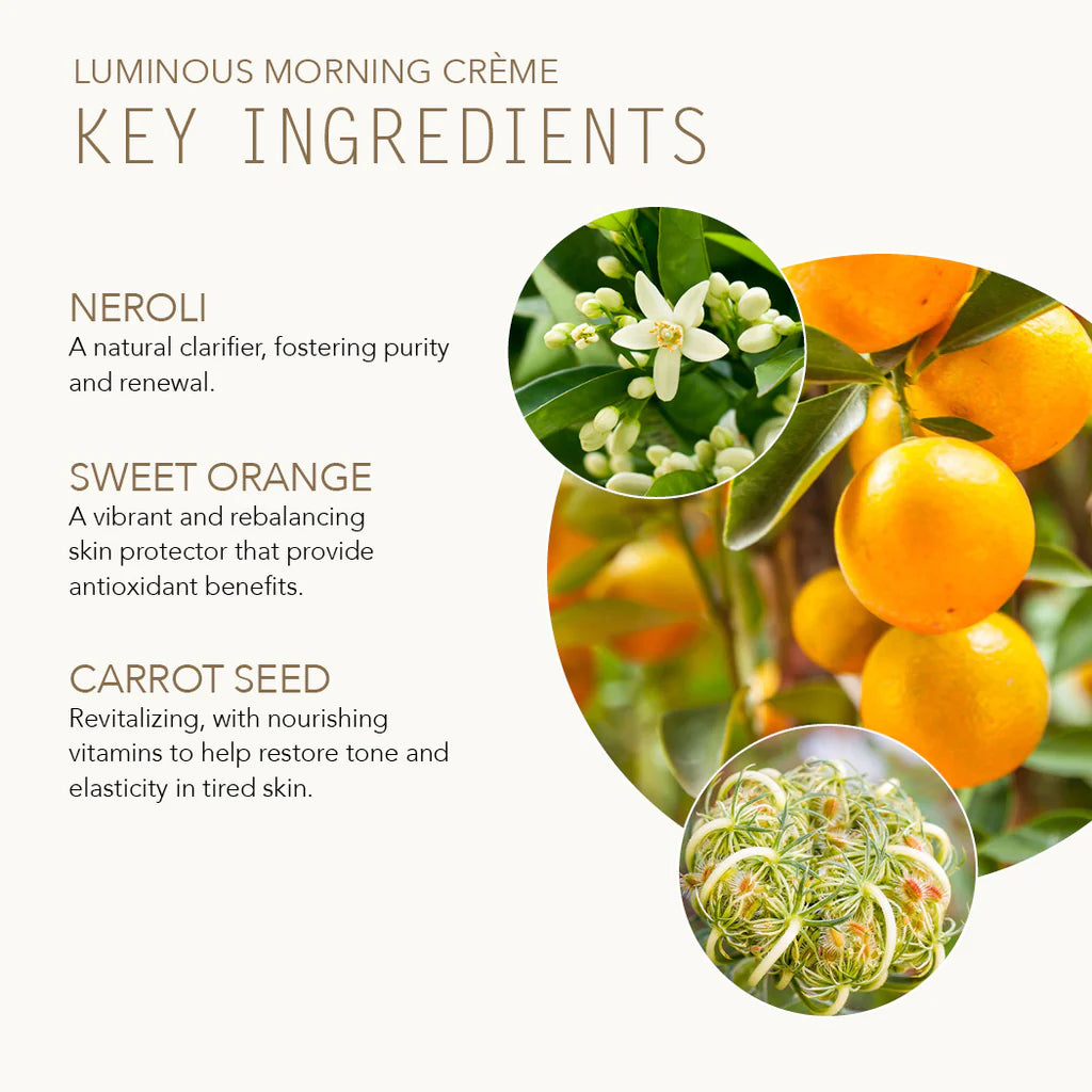 Luminous Morning Creme