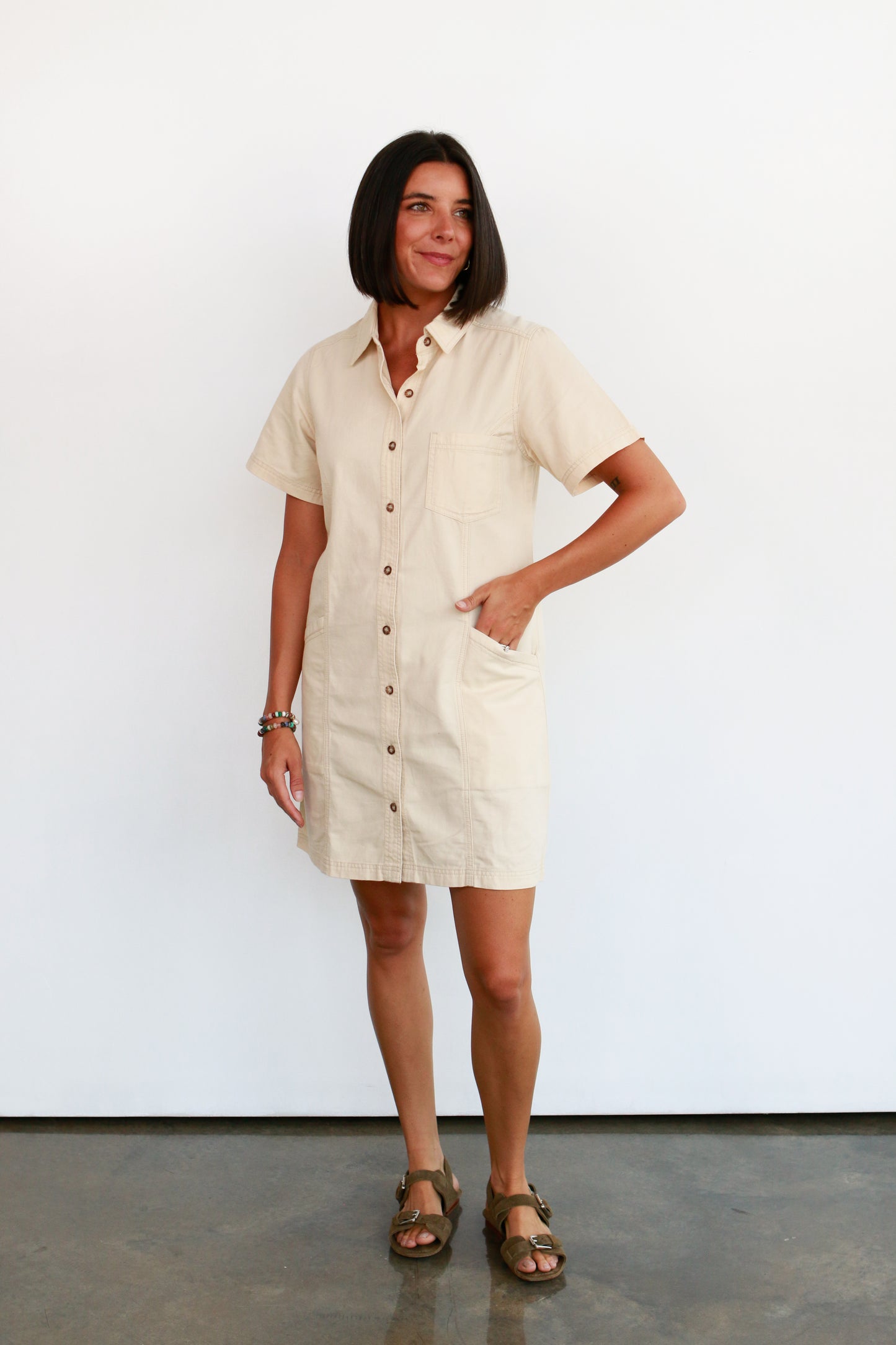 Lark Shirt Dress