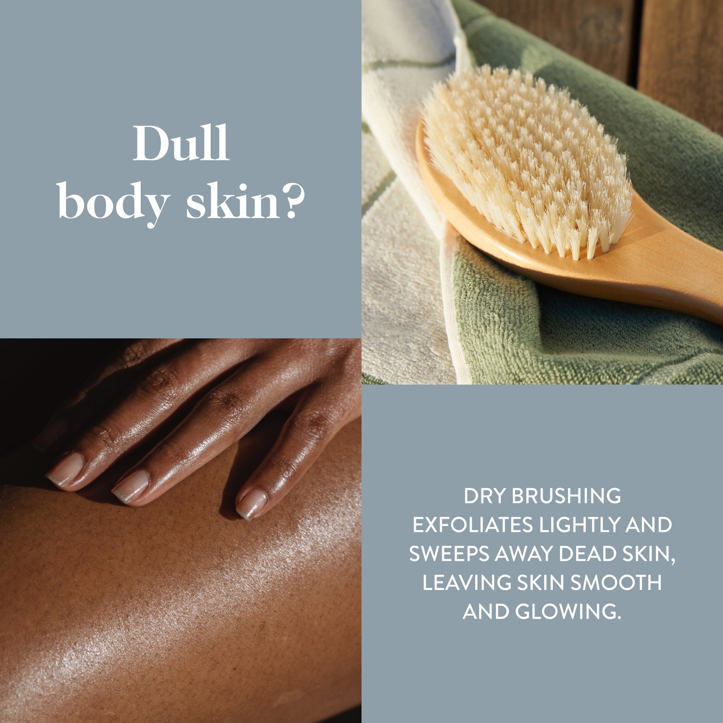 goop Ultimate Dry Brush