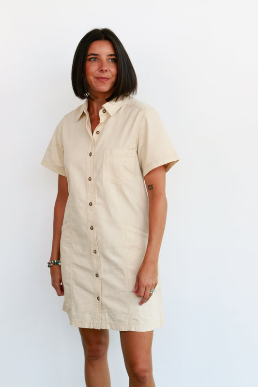 Lark Shirt Dress