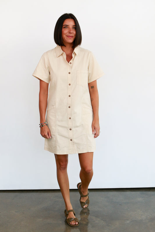 Lark Shirt Dress