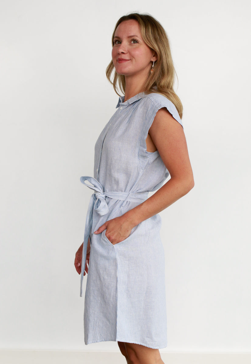 Iman Pinstripe Dress