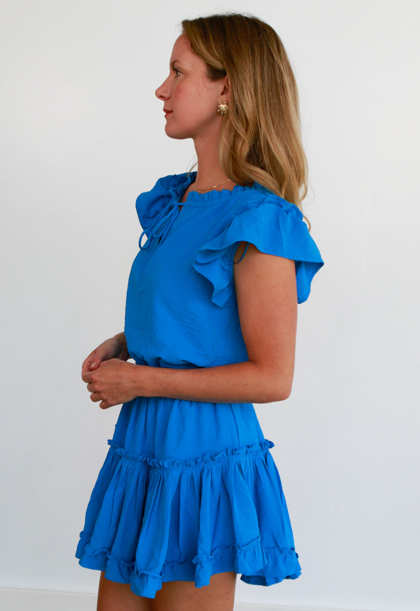 Monet Mini Dress