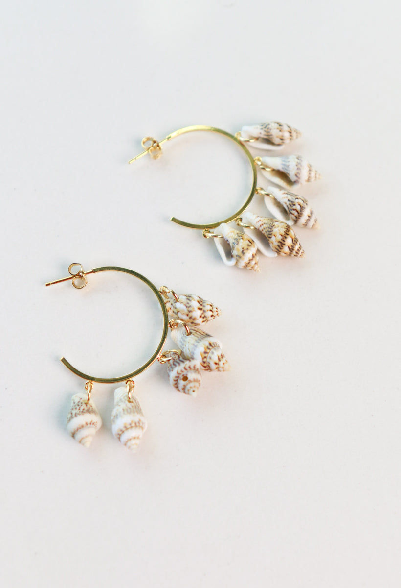 Natural Shell Earrings