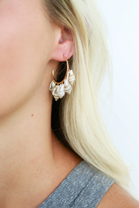 Natural Shell Earrings